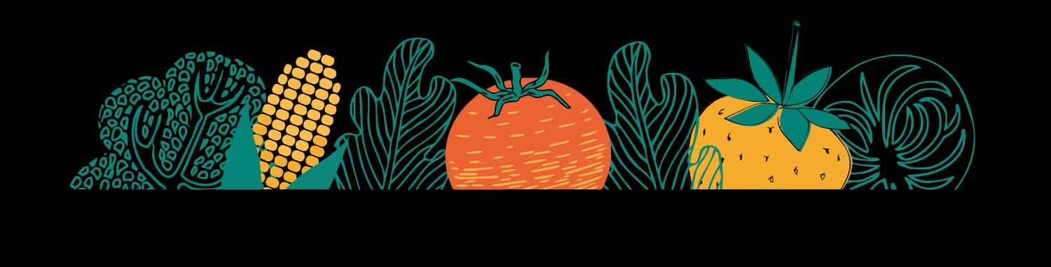 Bellevue Farmers Market - Image 2