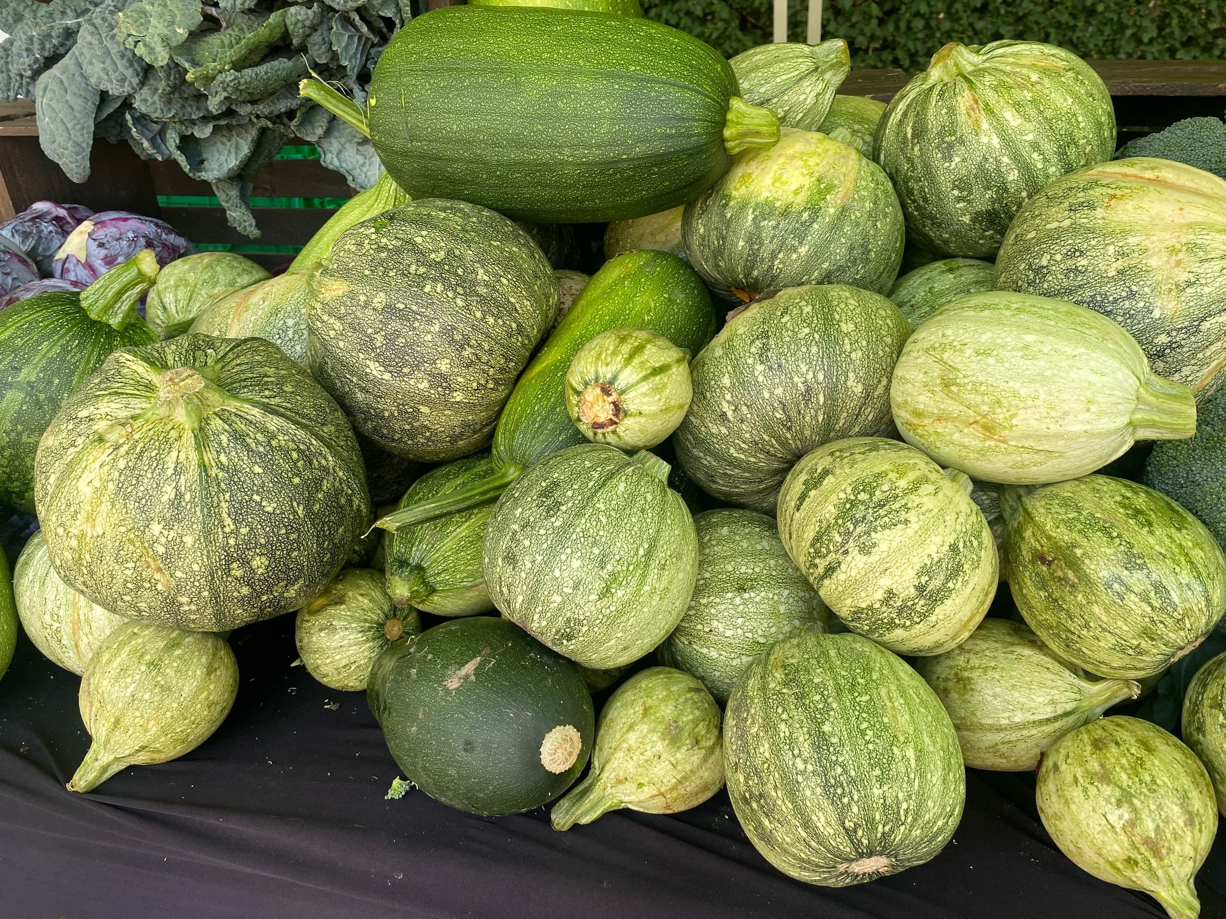 Bellevue Farmers Market - Image 3