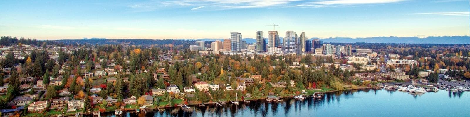 Bellevue International Festival celebrates culture and community - Image 2