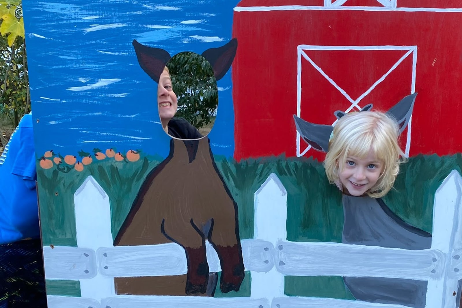Fairbank Animal Farm and Pumpkin Patch