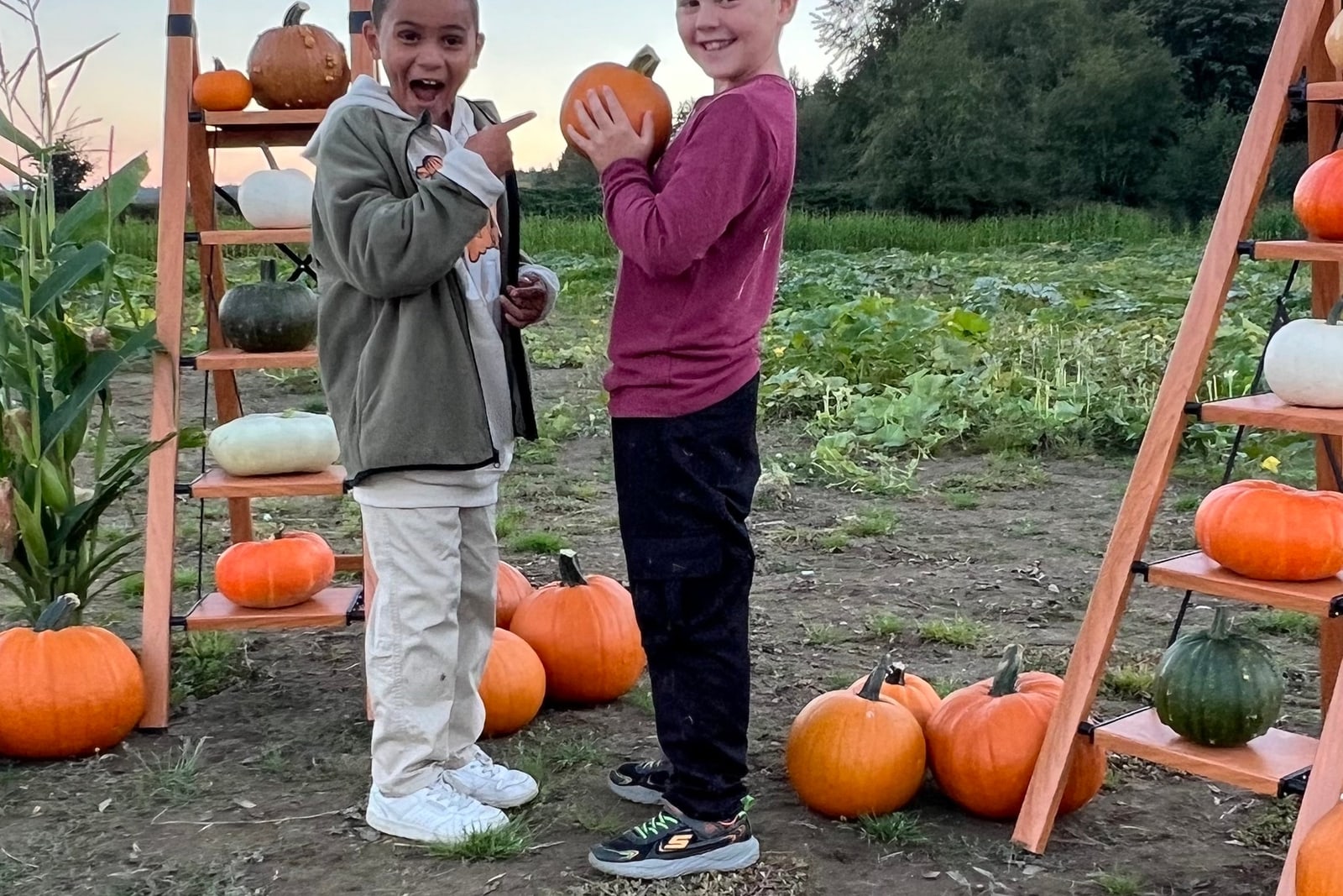 The Pumpkin Farm and Puzzle Patch
